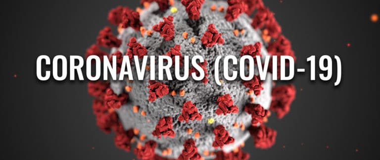 corona virus update