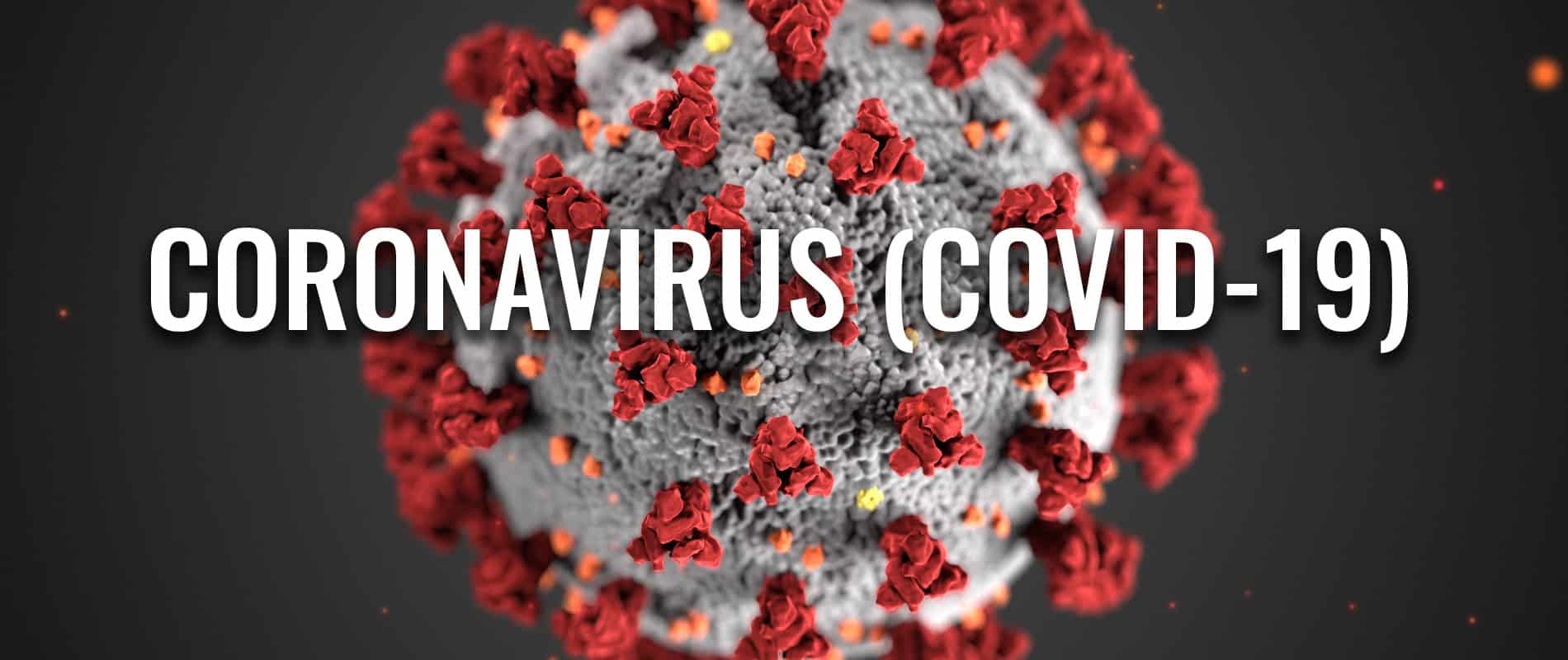 corona virus update